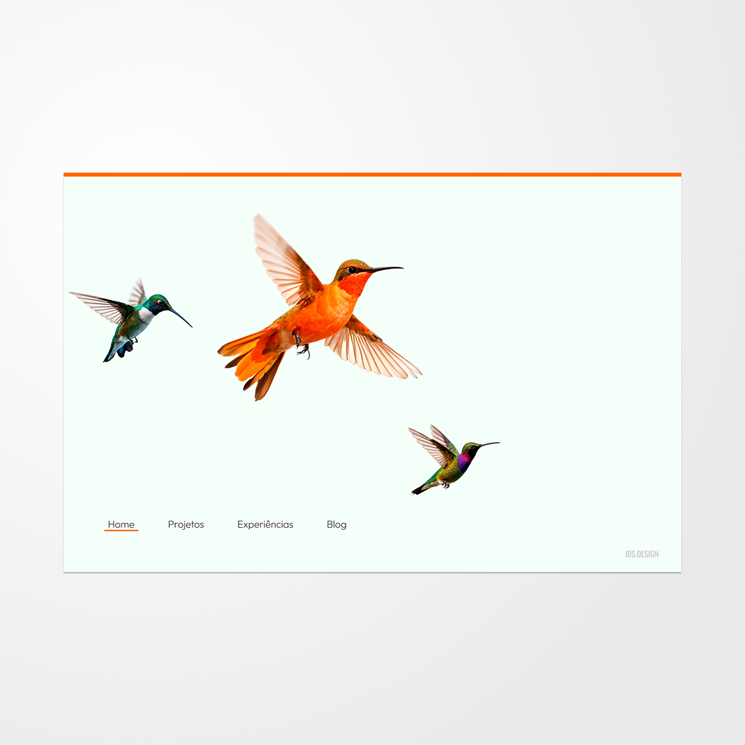 A abordagem foi radicalmente minimalista. O fundo quase branco e a ausência de caixas ou divisórias fazem com que as imagens dos beija-flores pareçam flutuar, criando um efeito dinâmico e leve. O menu de navegação, com tipografia fina e alinhado à base, oferece funcionalidade sem criar ruído visual. A linha laranja no topo é o único ponto de cor forte, servindo como uma âncora visual para a página.